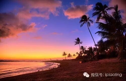 自由行-巴黎地接社