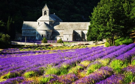 a6c070ebjw1e87ew4vhrqj20sg0izgym