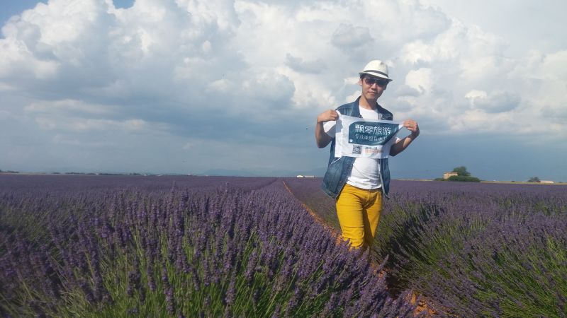 普罗旺斯薰衣草