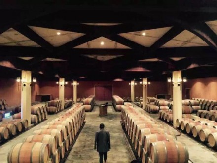 mmexport1443141895967