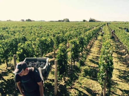 mmexport1443141852910