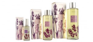 普罗旺斯薰衣草