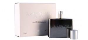 普罗旺斯薰衣草