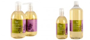 普罗旺斯薰衣草