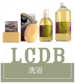 普罗旺斯薰衣草