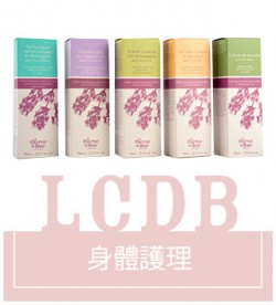 普罗旺斯薰衣草