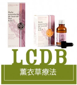 普罗旺斯薰衣草