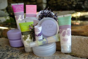 普罗旺斯薰衣草