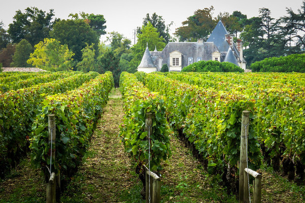 Chateau Pape-Clement_2