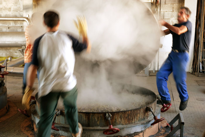 薰衣草精油-巴黎地接