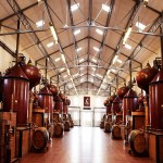 hennesycognac_800x600