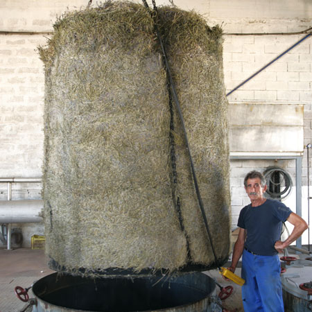 薰衣草精油-巴黎地接