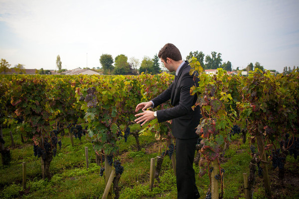 克莱蒙教皇堡的花园