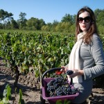 bordeaux-KatherineGrapePicking_800x600