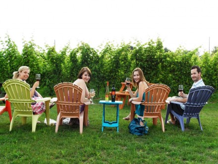 picnic-wine800x600