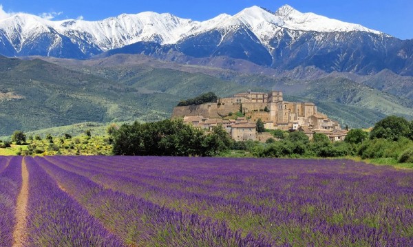 provence_800x478