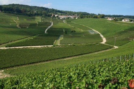 hautvillers_le_village_de_dom_perignon_credit_flament