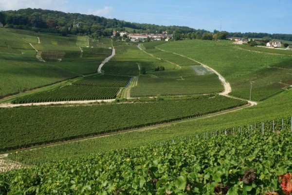 hautvillers_le_village_de_dom_perignon_credit_flament