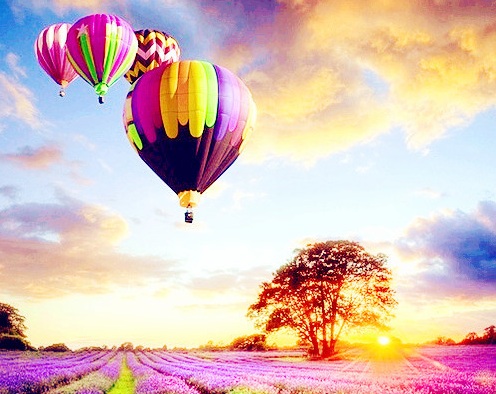 普罗旺斯薰衣草热气球探险游