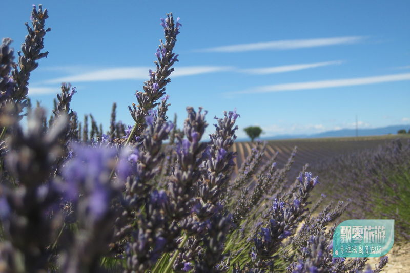 法国普罗旺斯